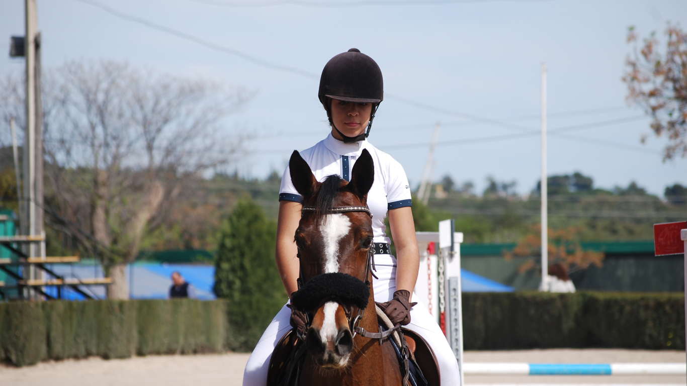 La red social y profesional para el mundo del caballo